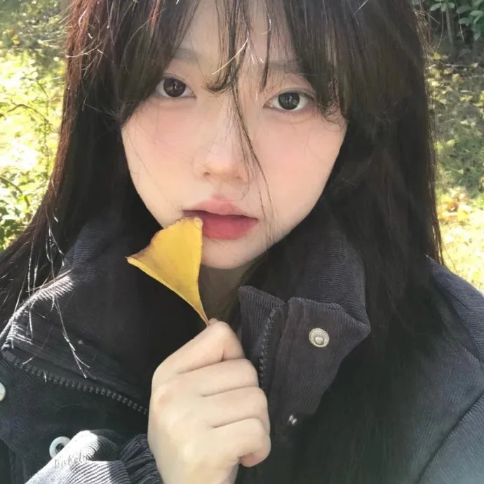 黄石第三季